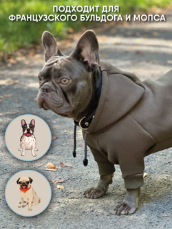 Толстовка для собак пород французского бульдога, мопса, голубой,M