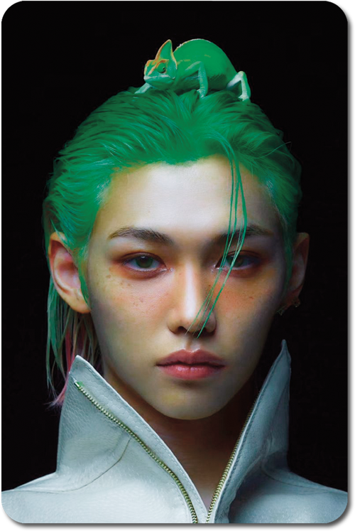 Карта / STRAY KIDS #0769