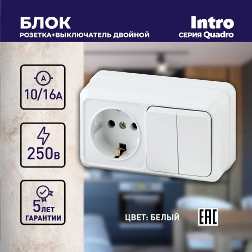 Блок розетка с выключателем Intro Quadro 2-702-01 двойным горизонтальный 10А-250В, IP20, ОУ, белый