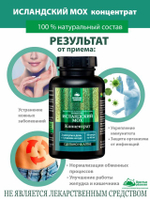 Концентрат Исландский мох (Сoncentrate Icelandic Moss)