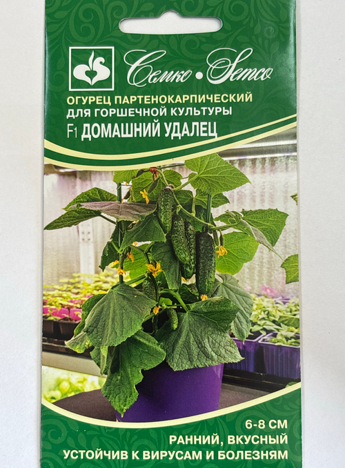 Огурец Домашний удалец F1 5 шт СМО-187