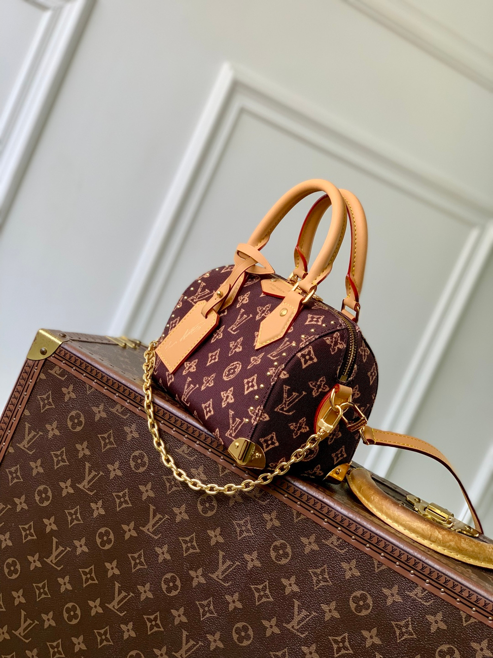 Louis Vuitton Speedy Trunk 20