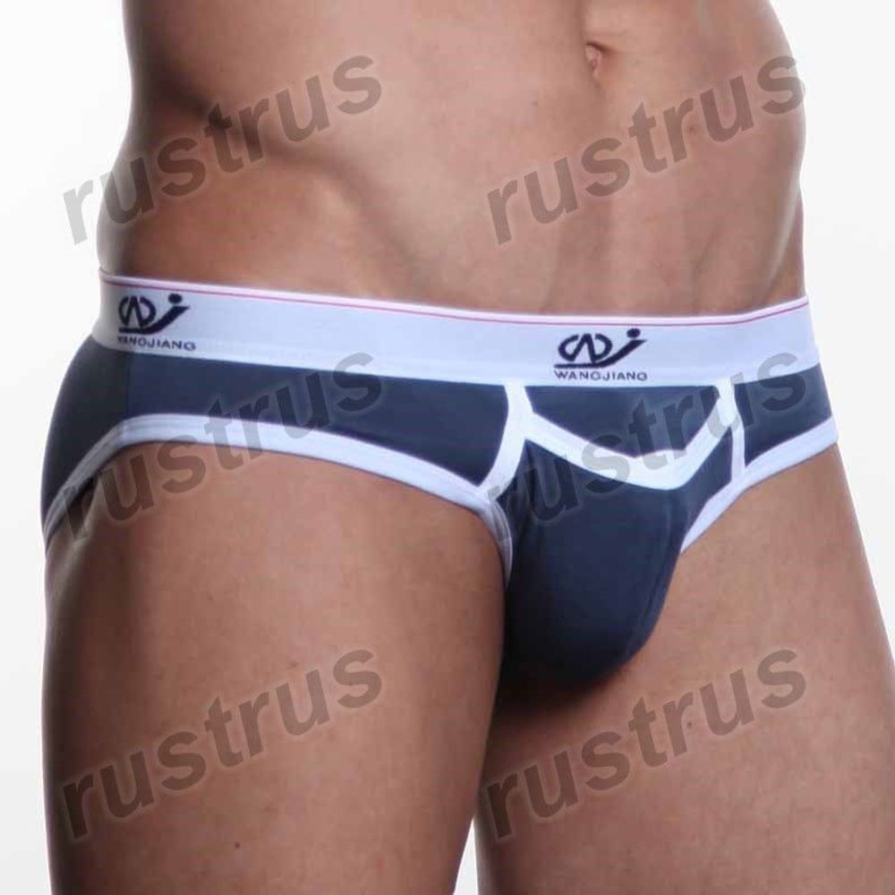 Мужские трусы брифы синие WANGJIANG WG00006