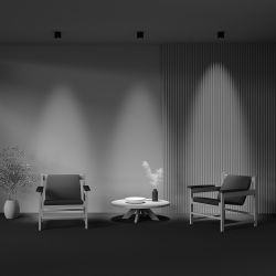 Светильник потолочный светодиодный Maytoni Lens C217CL-15W4K-B