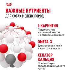 Royal Canin Mini Adult Корм сухой для взрослых собак мелких размеров от 10 месяцев - 4 кг