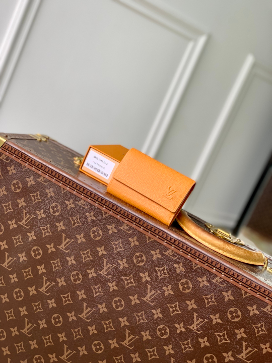 Louis Vuitton Victor Wallet