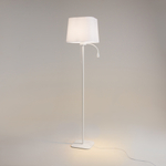 Напольный светильник (торшер) Maytoni Z001FL-L3W-1W