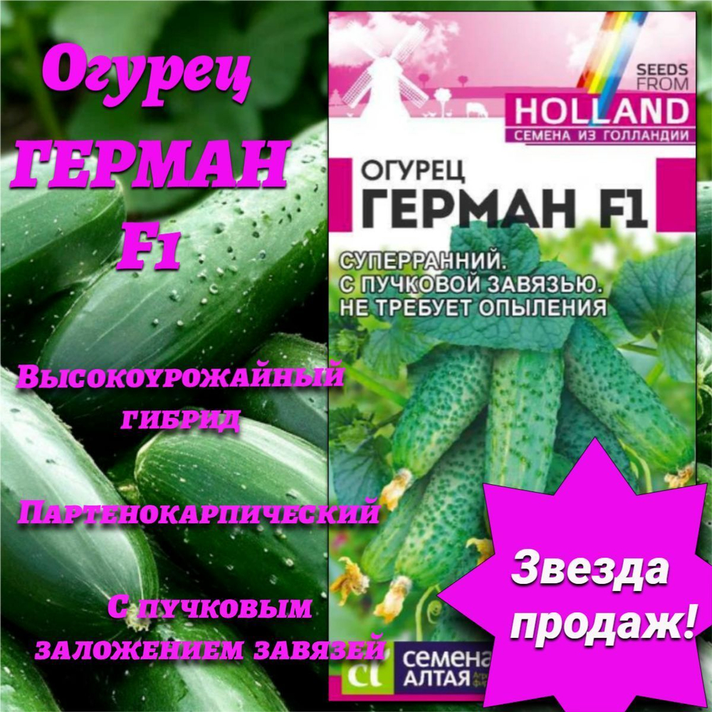 Огурец Герман F1(5 семян). Семена Алтая.