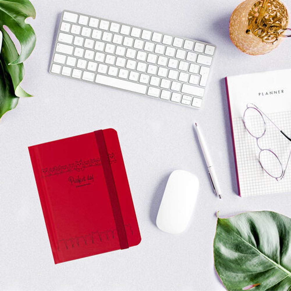 Ежедневник недатированный А6 128 л. БРАУБЕРГ Котики (114571)