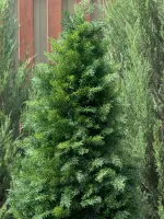 Туя искусственная (Литая хвоя) 180 см / 1,8 м