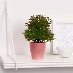 Бонсай "Кустовой" 7*18 см  МИКС