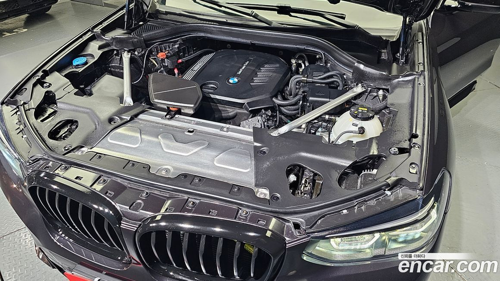 BMW X4 (G02) xDrive20d M Sports X (03.2020)