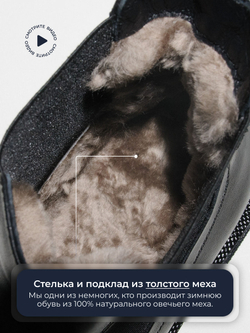 Челси Freedom W730M