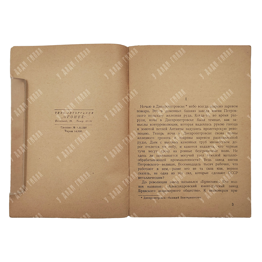 Брянские разбойники (завод имени Петровского). – М., 1929.