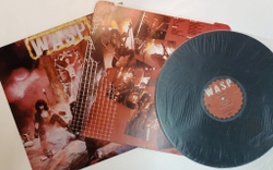 Винтажная виниловая пластинка LP W.A.S.P. (UK 1984)