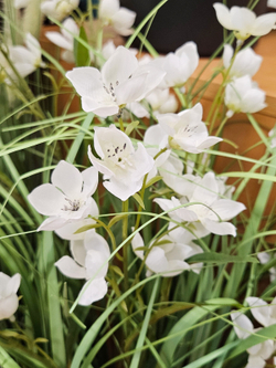 Искусственная Трава с белыми цветами 90см в кашпо