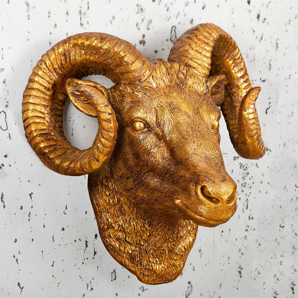 Голова барана декоративная Evergreen фото