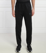 Спортивные штаны EA7 - черный(3DPP55 PJAHZ)