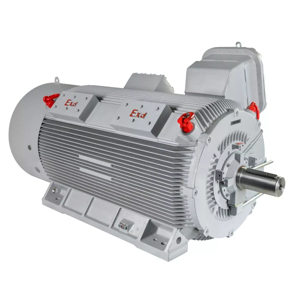 Электродвигатель ESQ M 400-SDN 6,0-315/1500-EP-C IP55 (SG) 315/1500 IM1001