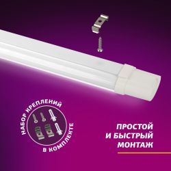 Светильник для растений, фитолампа светодиодная линейная ЭРА FITO-36W-RB-N красно-синего спектра 36 Вт | Линейные фито светильники