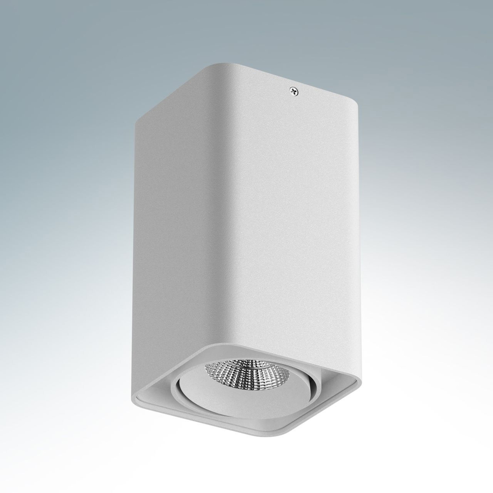 Накладной светильник Lightstar Monocco 052136