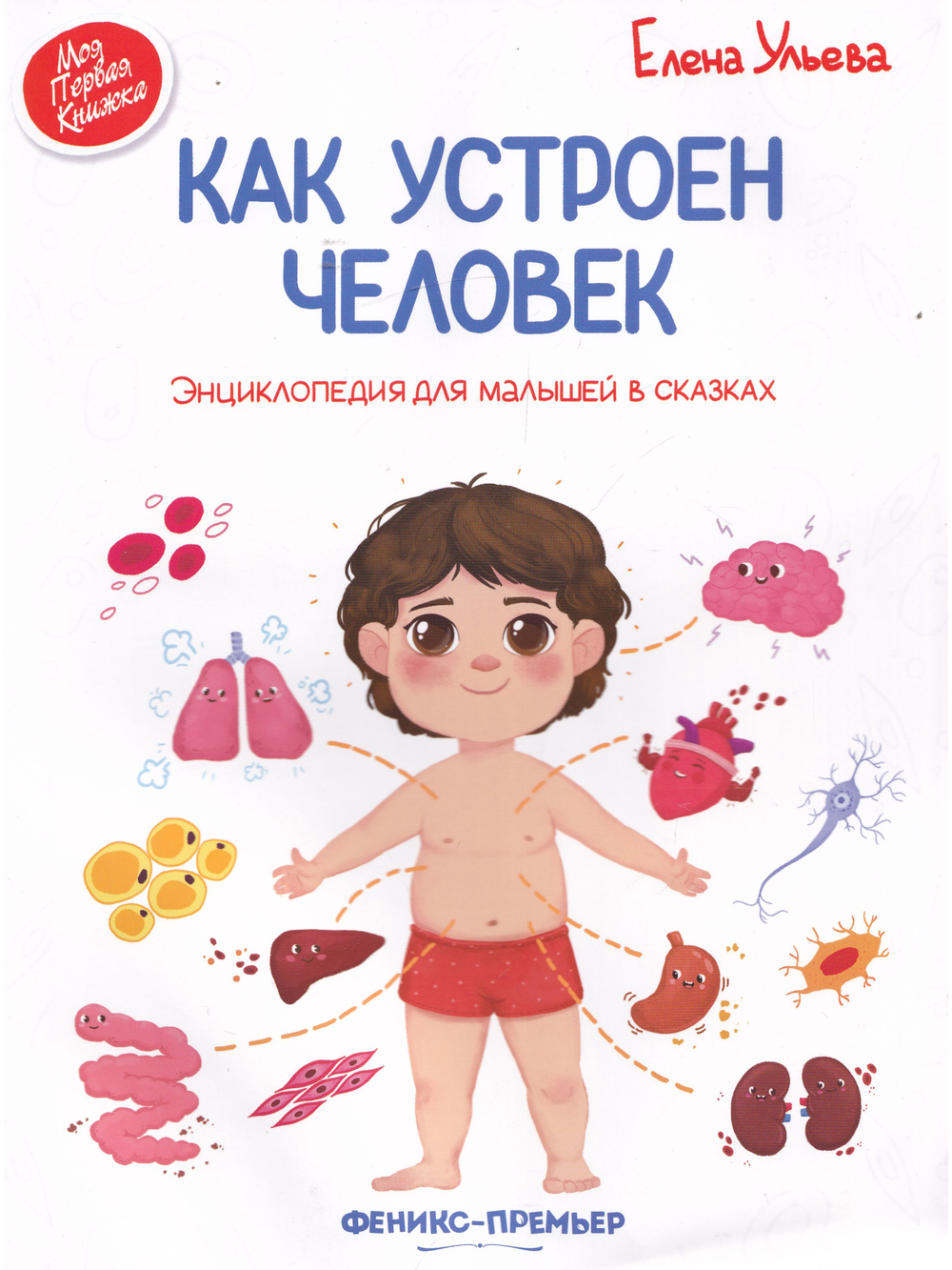 Как Устроен Человек