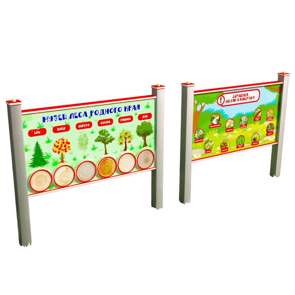 Уличный модуль Музей леса родного края и Ядовитые растения и ягоды