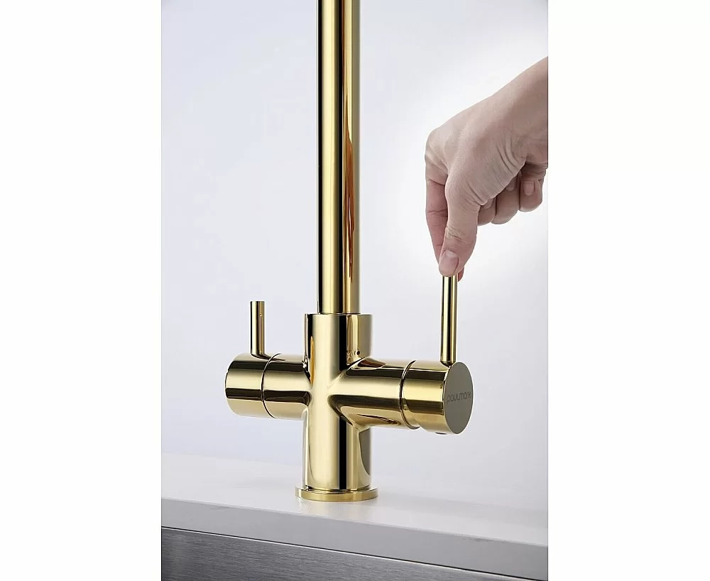 Смеситель для кухни Paulmark Lange La214212-G золото