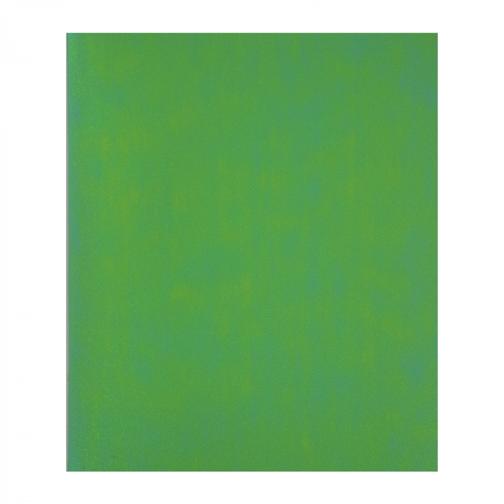 Тетрадь 48л., А5, клетка, Alingar "Green chameleon", скрепка, дизайнерский картон, глиттерное напыление, блок офсет, 100 % белизна