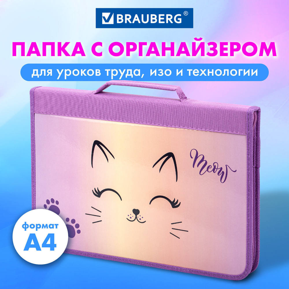 Папка на молнии BRAUBERG А4 с ручкой с органайзером 1 отделение "Cheerful" (2 штуки в упаковке)