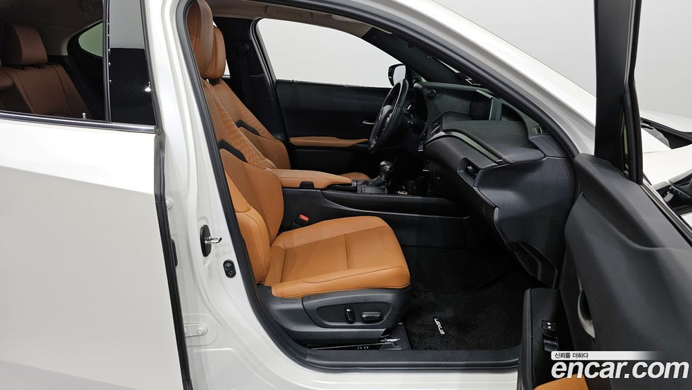 Lexus UX250h 2.0 2WD (01.2020)