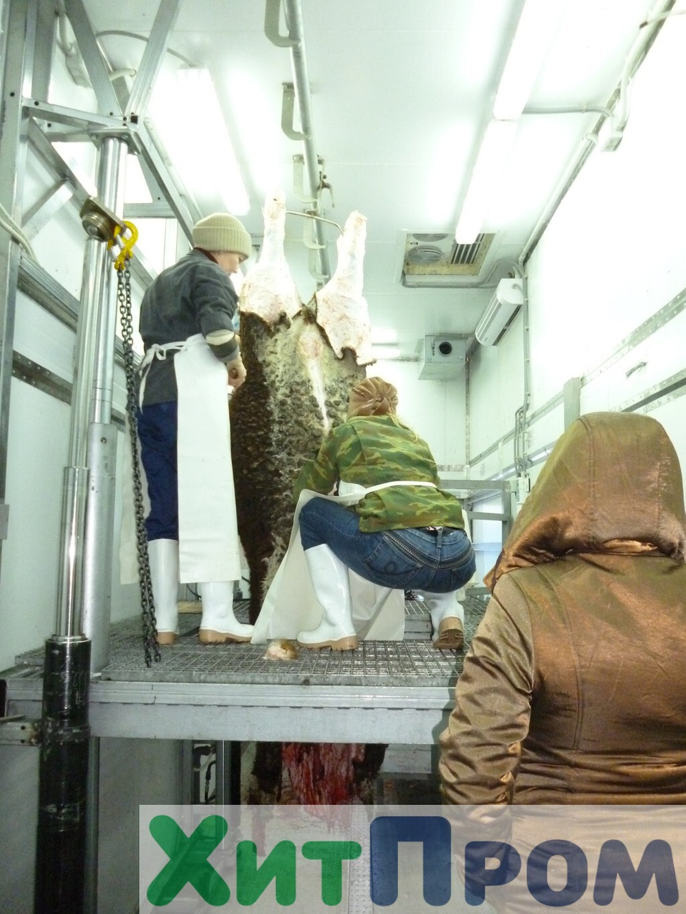 Комплекс убоя и переработки КРС до 20 голов/смена и МРС до 200 голов/смена. р. Татарстан