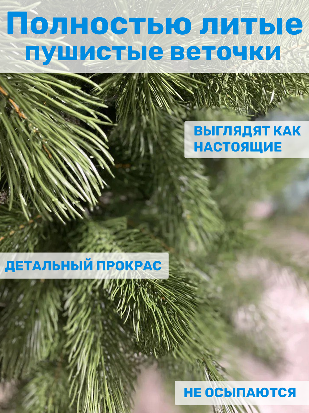 Сосна Царь елка Триумфальная 210 см ТМ-210