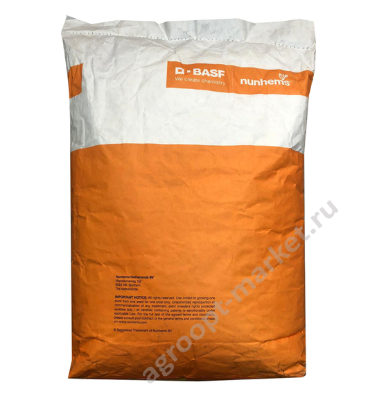 Хесбана семена гороха (Nunhems / Нюнемс) – фото 2