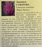 Лимониум Суворова розовый 0,01 г СМЦ-263