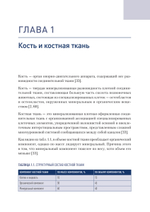 Современные технологии замещения дефекта костной ткани