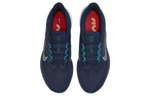 Кроссовки Nike Zoom Winflo 9