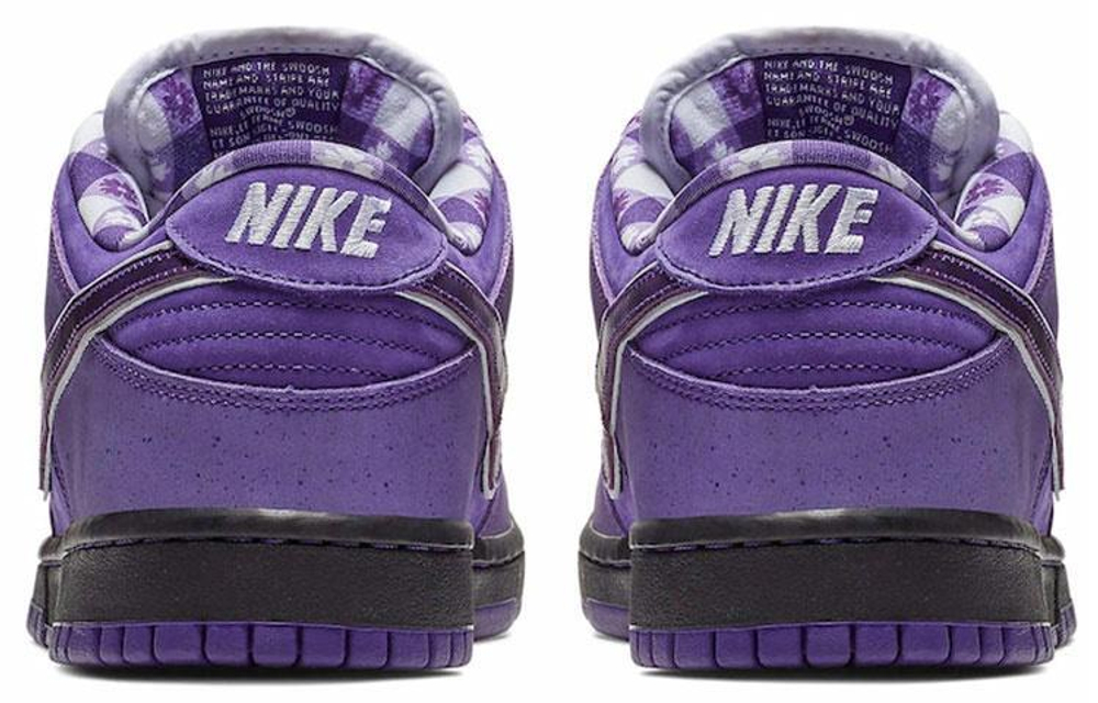 Кроссовки Concepts X Nike Dunk Sb Pro