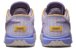 Кроссовки Nike Lebron 20 "Violet Frost" 20
