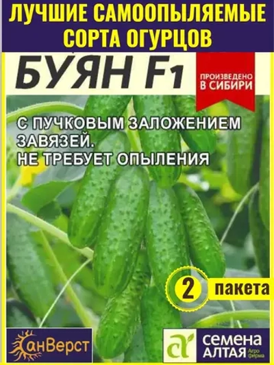 Семена раннеспелых огурцов Буян F1 Самоопыляемый корнишон