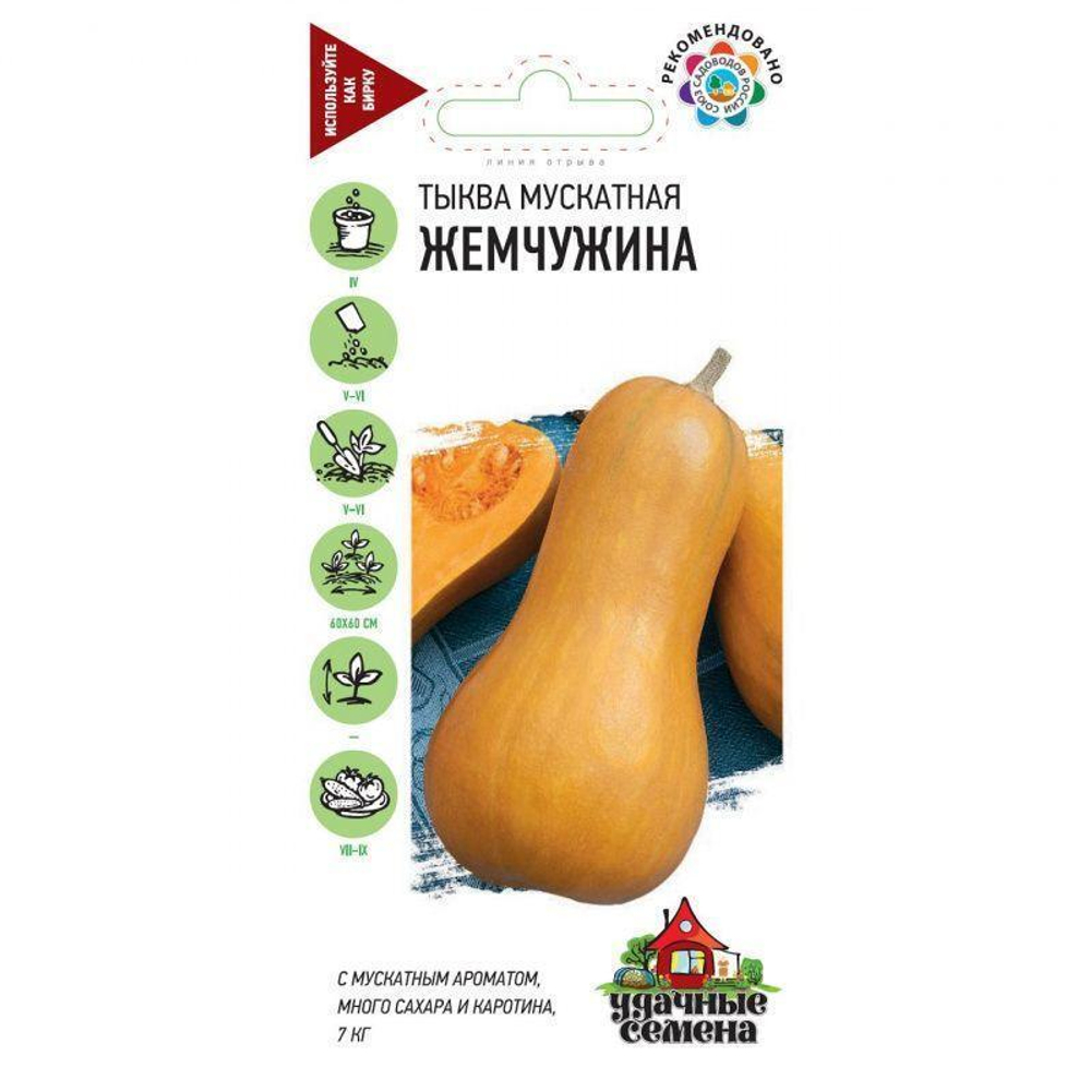 Тыква Жемчужина мускатная