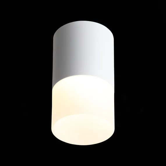 ST100.502.10 Светильник потолочный Белый LED 1*10W 3000K 780Lm Ra>80 120° D78xH135 170-240V Накладные светильники
