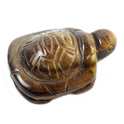 Черепаха тигровый глаз асс.