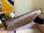 Louis Vuitton Carry It Tote