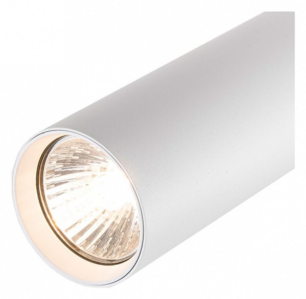 Светильник на штанге Escada 20001 20001TRA/02 SWH