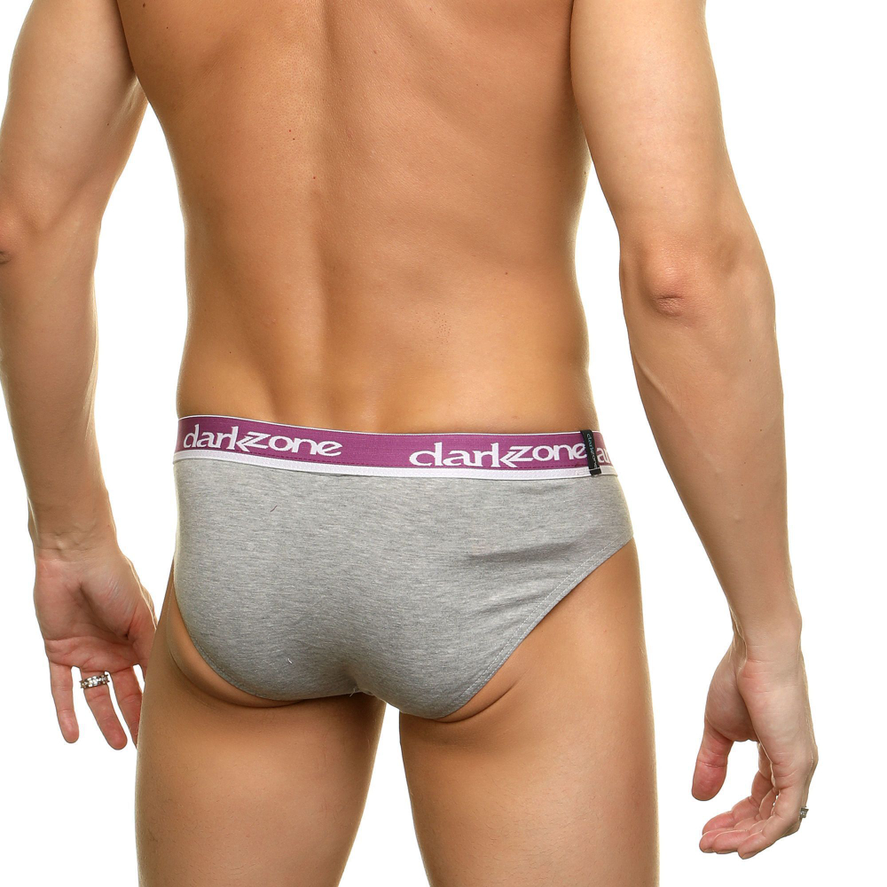 Серые мужские слипы с фиолетовой брендированной резинкой (Размер: L) (Цвет: серый)