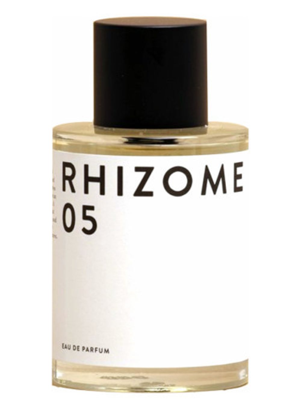 Rhizome 05