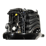 Лодочный мотор бензиновый Golfstream F100FEL-T EFI