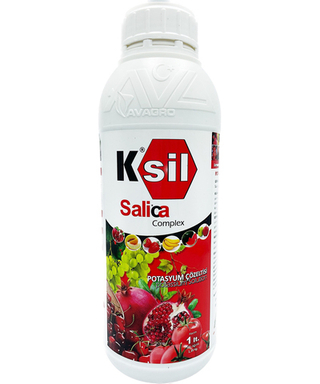 Ksil Salica Komplex 1л раствор оксида калия + кремний