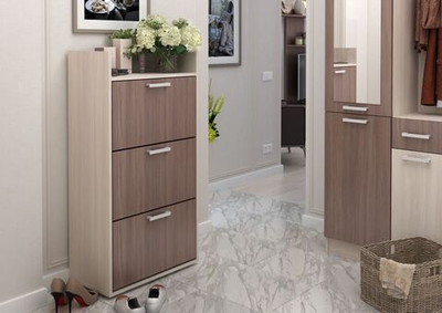 ДЕЛИ обувница №2